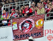 Spartak-horse (37)